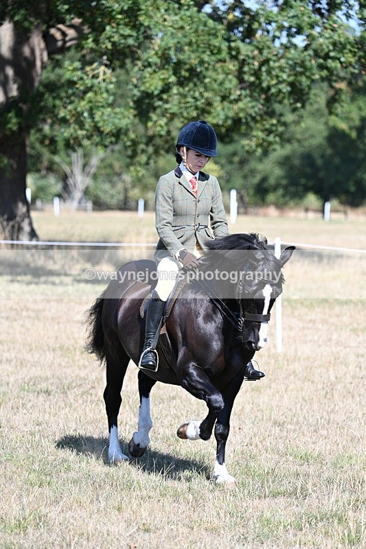 WJ7_3675 - Class 9 Mountain & Moorland Ridden