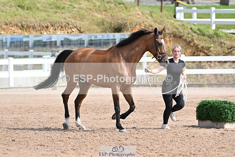 240717A-160210-03271 - Trot Up 4pm to 5pm