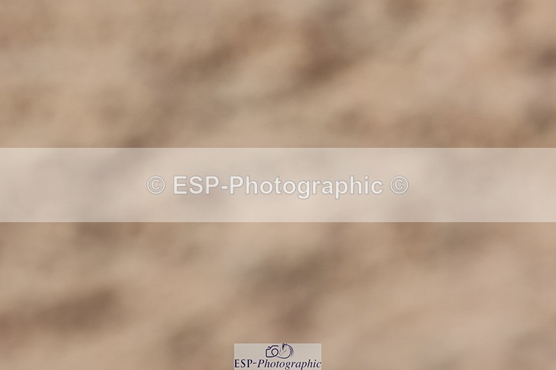 240622A-162234-14458 - Cls 19 Team Quest Prelim 18