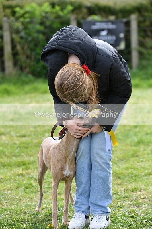 WJ5_9873 - Class 3 Most Handsome Dog