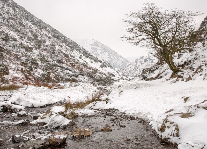 Bodbury Hill from Mott's Road, Carding Mill Valley - The Literary Landscape of Shropshire