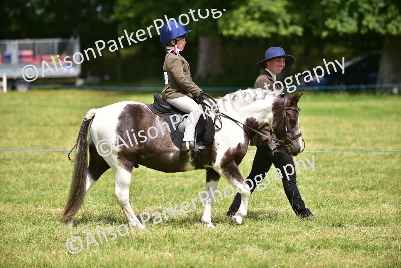 20260614-1359 - Class 11b - Lead Rein Pony (Plaited)