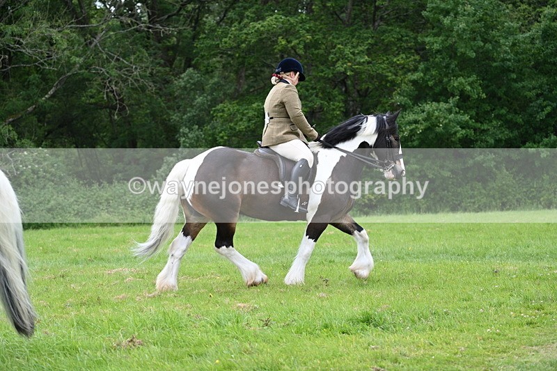 WJ7_2077 - Class 12A Coloured Class