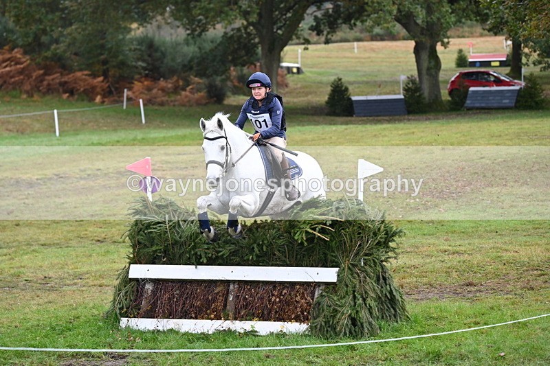 WJ6_1628 - 80cm Cam 1 Time 10:08 to 10:45