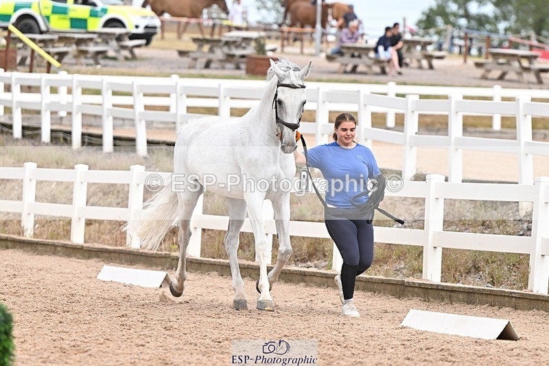 250716-161944-02563 - Trot Up 3.30 to 4.30