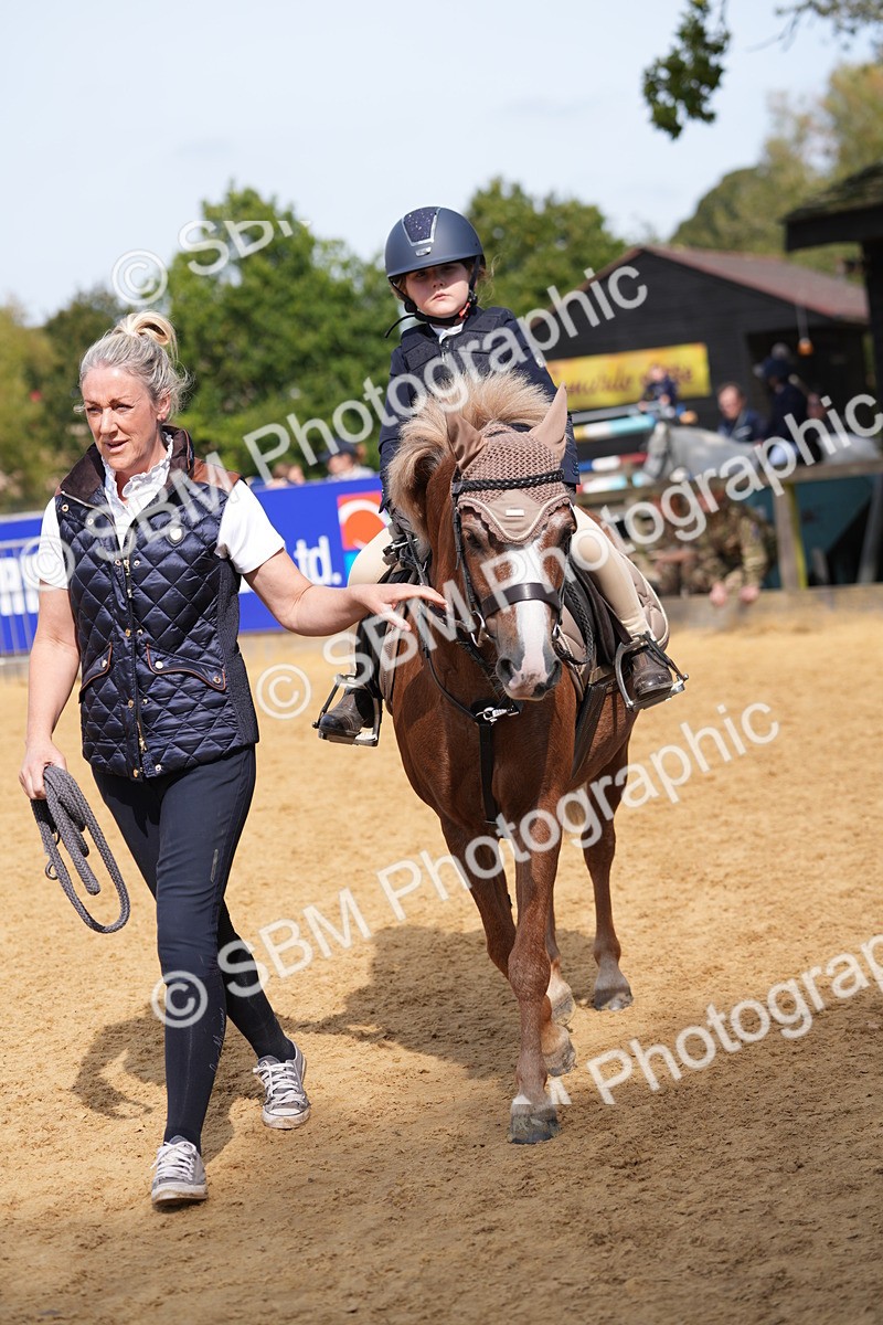 SBM_65785 - J2 - Mini Tour Junior Pony 30cm Championship