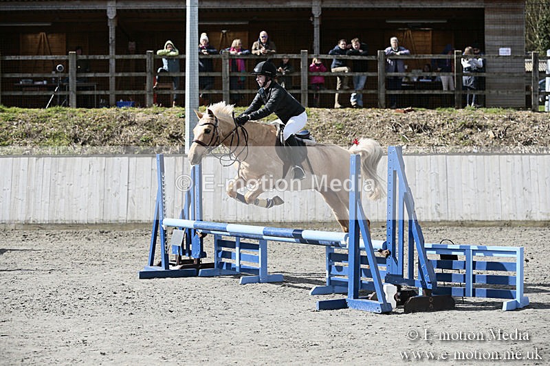 BVRC SJ 170319 439 - Bourne Valley Riding Club Showjumping 17/03/19