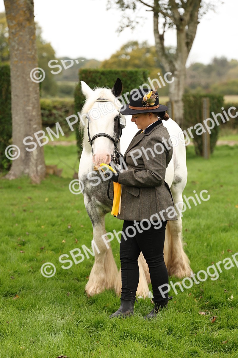 SBM_59376 - S57 - Traditional Cob In Hand