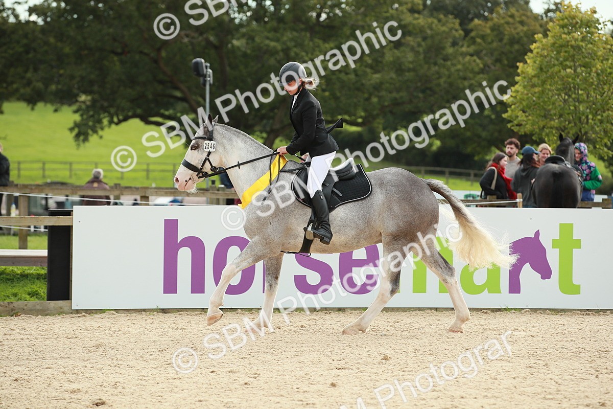 SBM_10282 - J31 Senior 75cm Championship
