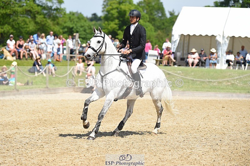 230528-113836-15300 - 359-LONG_BEACH-Giorgio_Nardilli-SUNTrotUp+SJ