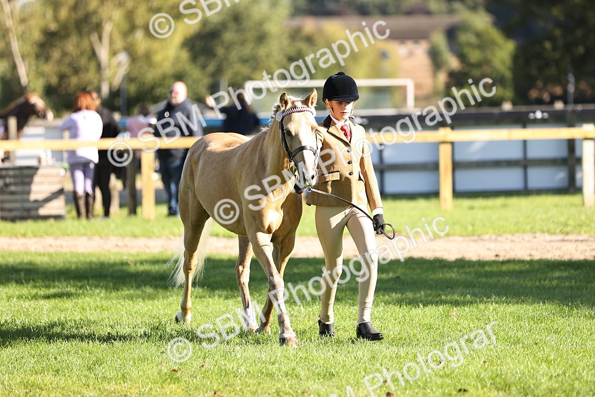 SBM_15903 - S1 - TSR in Hand Horse & Pony Showing