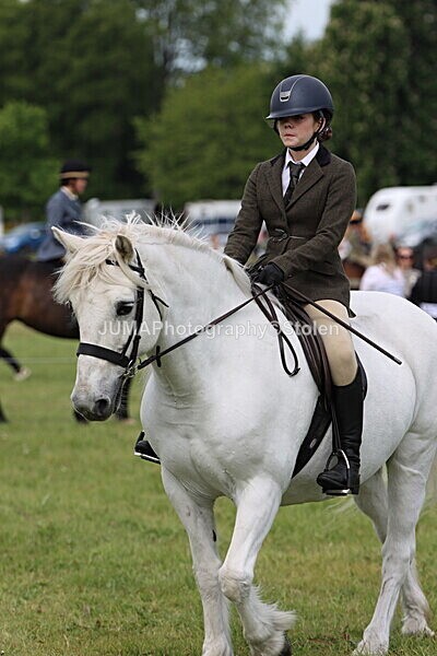 IMG_2487 - Working Hunter