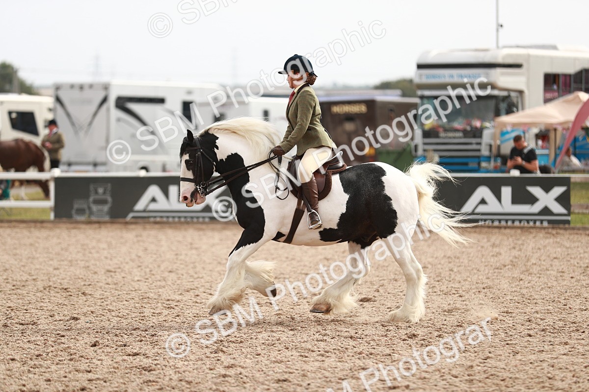 SBM_16775 - Class 214 Ridden Cob