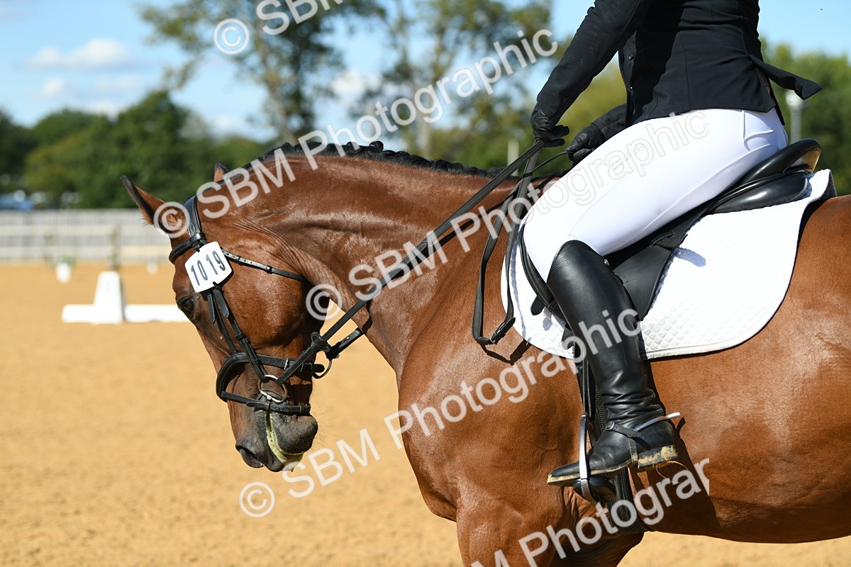 SBM_24974 - D13 - Grand Tour Championship - Prelim 12