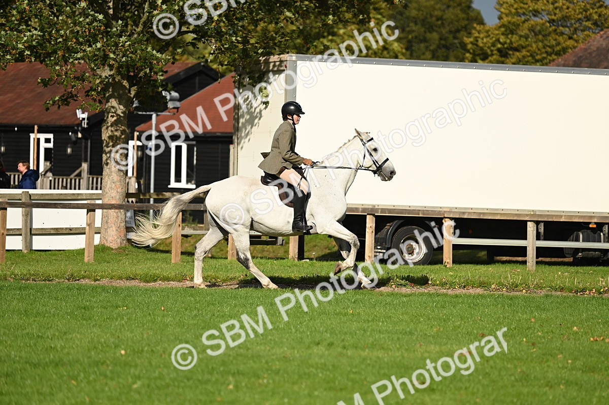 SBM_26442 - S6 - Novice & newcomer Ridden horse