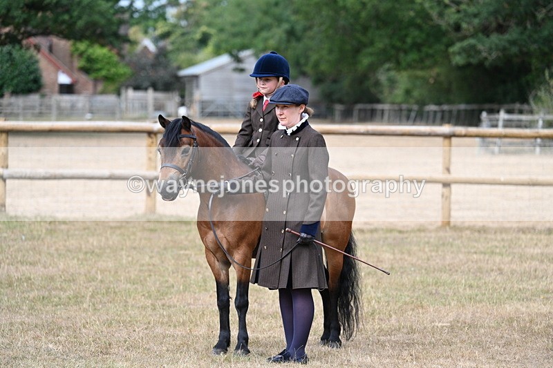 WJ7_6479 - Class 1 Lead Rein Pony