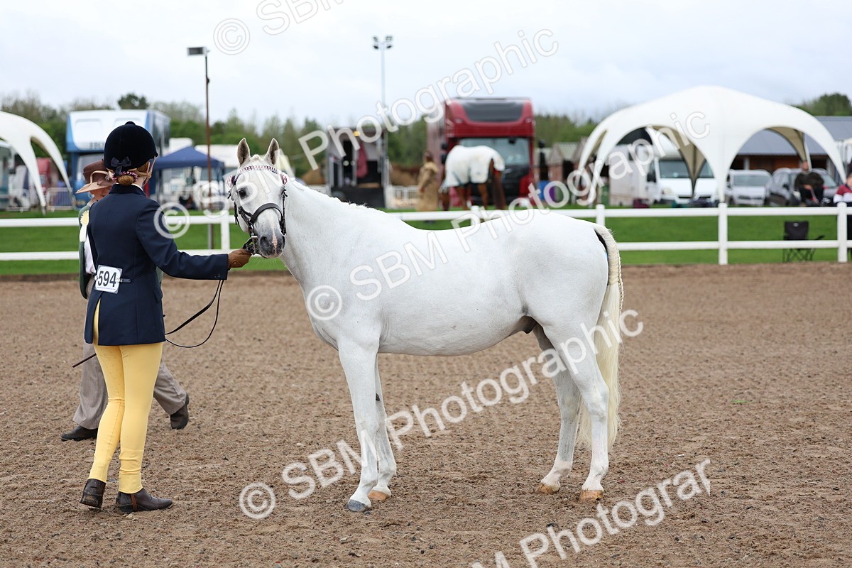 SBM_00244 - Class 13 - Young Handler