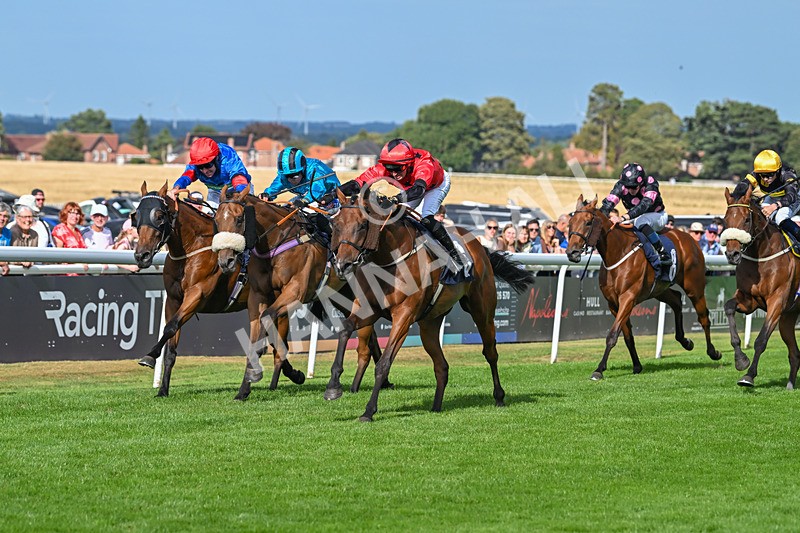 140825-Race 6-Sunny Orange-1813 - Race 6
