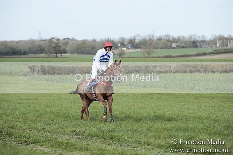 PtP 230319 374 - VWH Hunt Siddington Point-to-Point Racing 23/03/19