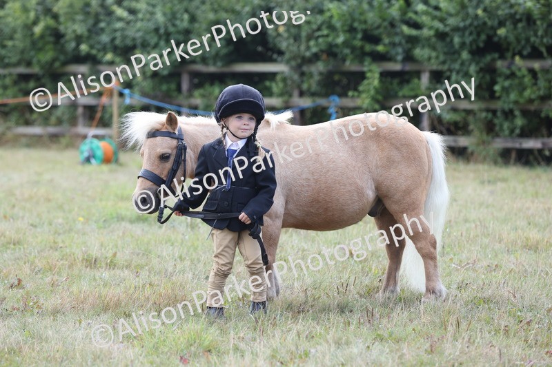 20250831-3052 - Class 23 - Child Handler