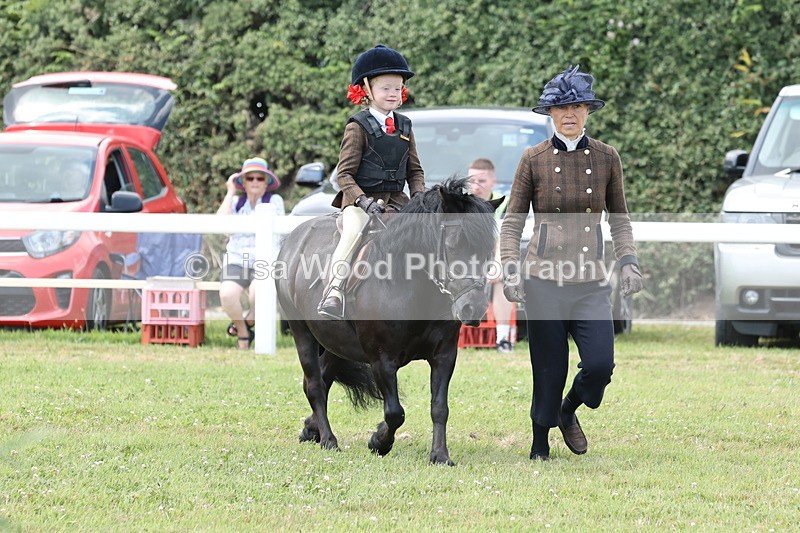 JPP_1889 - Class 18: Tiny Tots Working Hunter Pony
