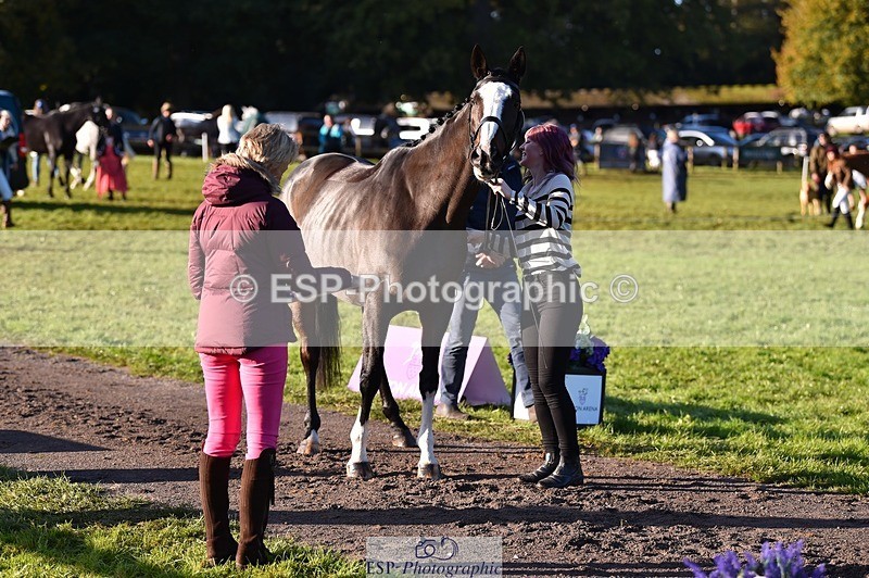 231022-093742-21927 - 427-COMBE.BREEZE-Gemma.Wells-TrotUp+SJ