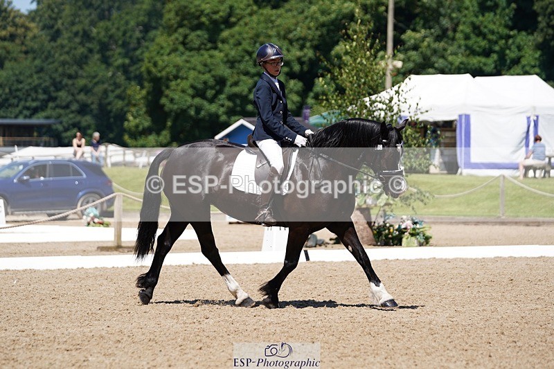 240719-112910-01148 - 282-Edward_Collis-Eglwysfach_Blodwen