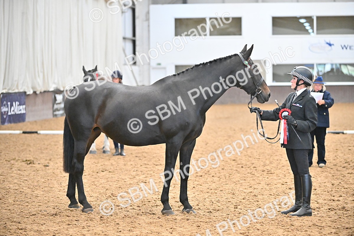 SBM_000762 - Class 16 - In Hand Showing Supreme Championships