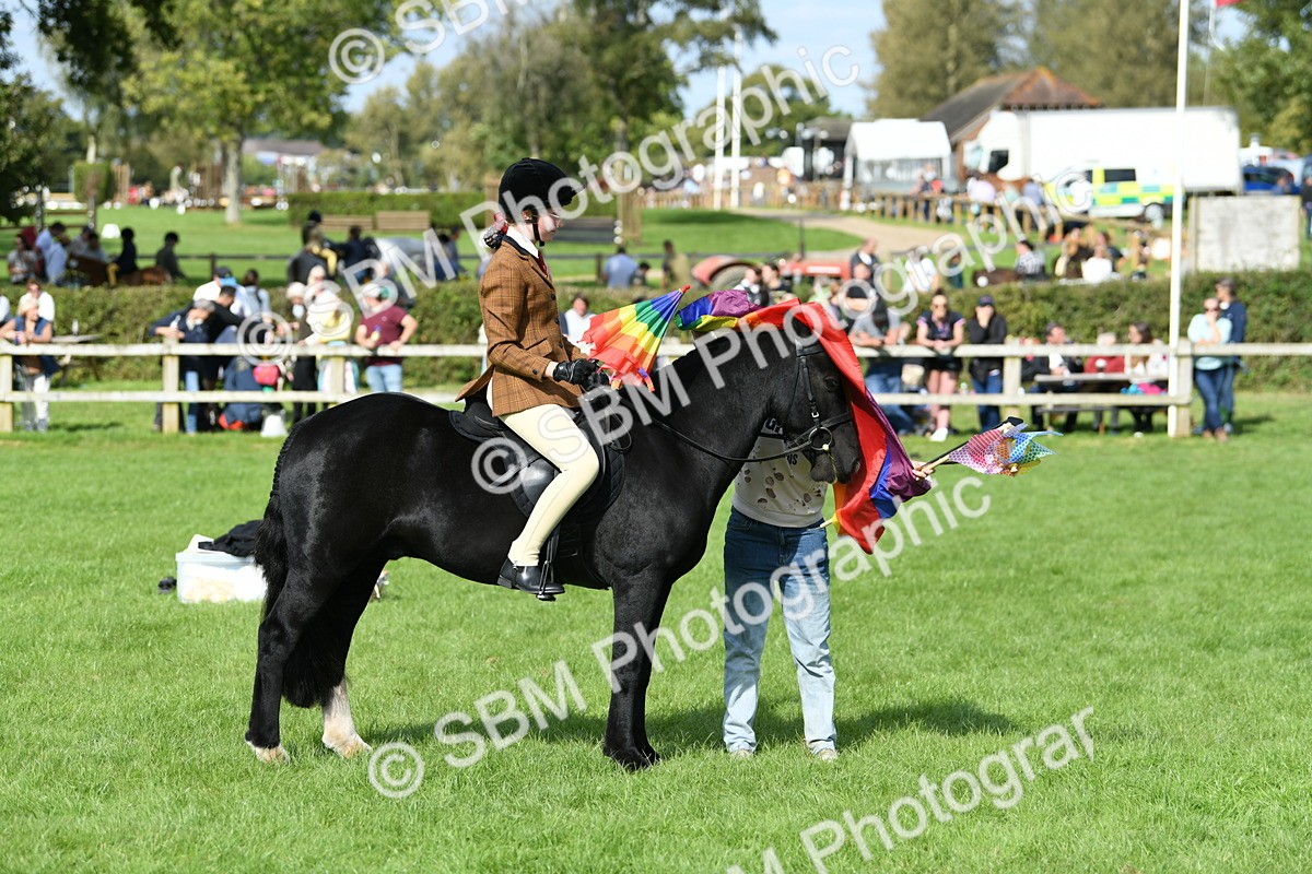 SBM_47079 - S12 - Family Horse & Pony