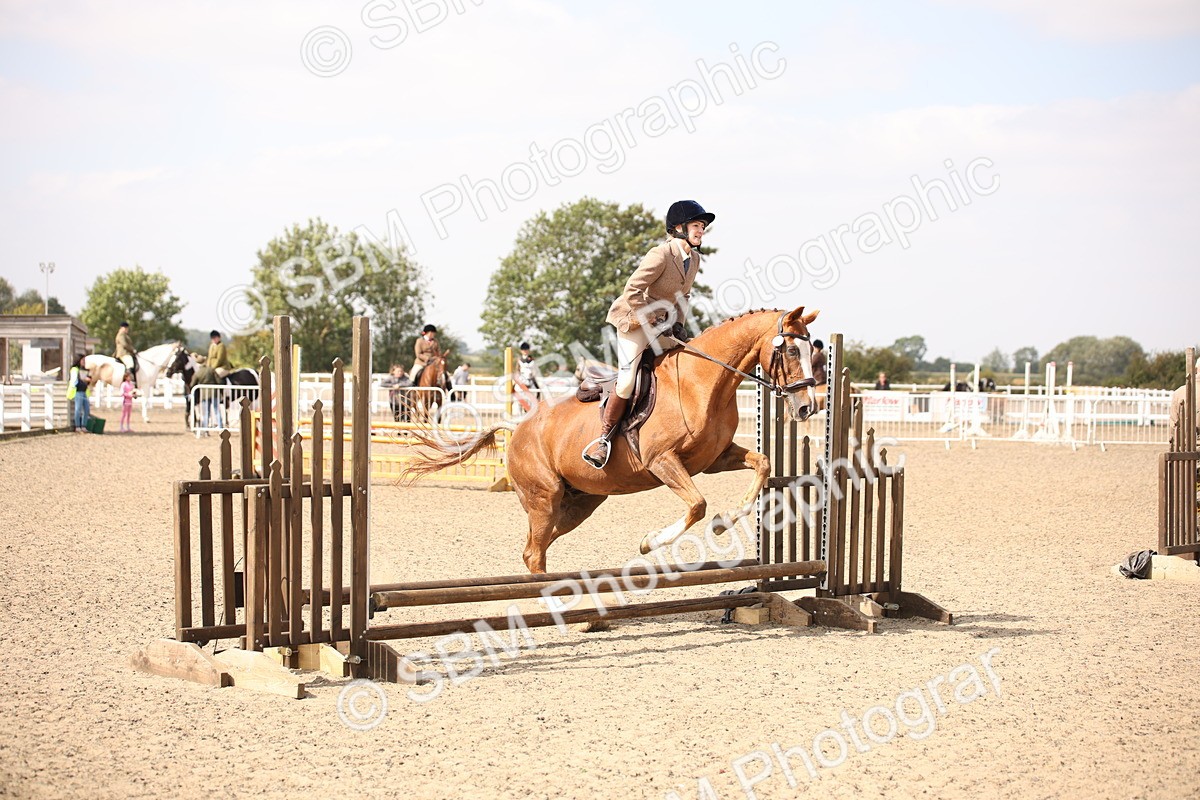 SBM_13598 - Class 406b - Working Veteran 50cm (20+)