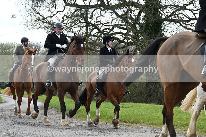 WJ7_9883 - Walk Home