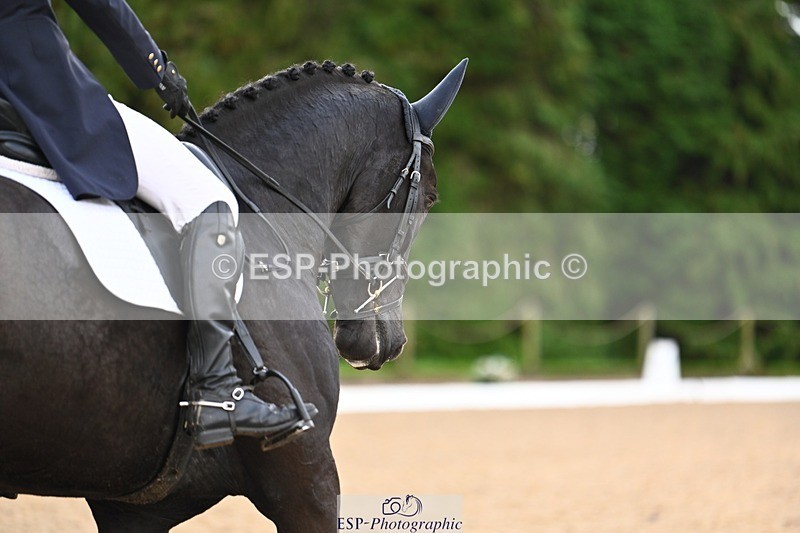 231021-094205-12584 - 226-KILNAMAC.COLLINS-Sydney.Johnson-DR