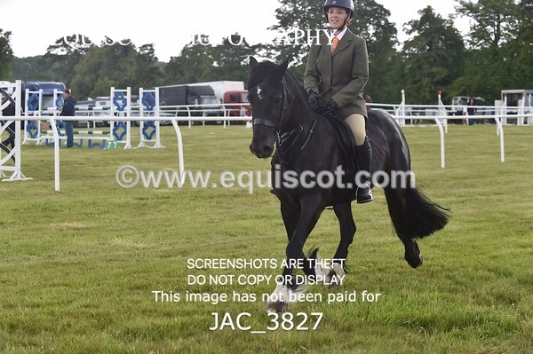 JAC_3827 - 65cm WORKING HUNTER