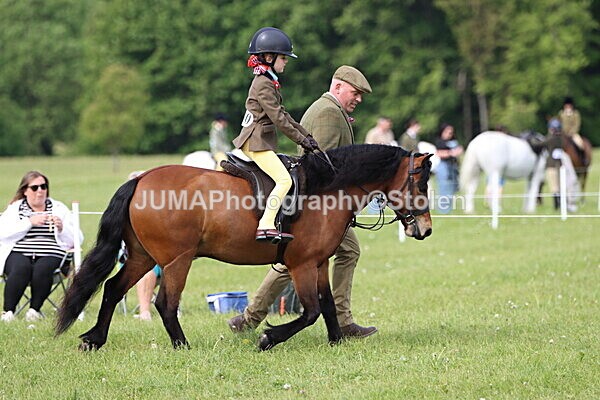 IMG_2313 - Working Hunter