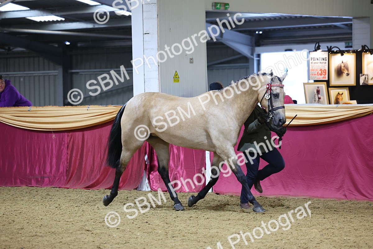SBM_20795 - Class 902 - Supreme Final IH Veteran
