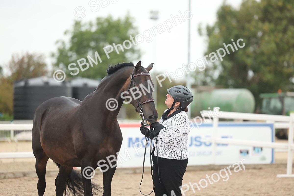 SBM_19399 - Class 317 - IH Pure Bred Horse-Pony