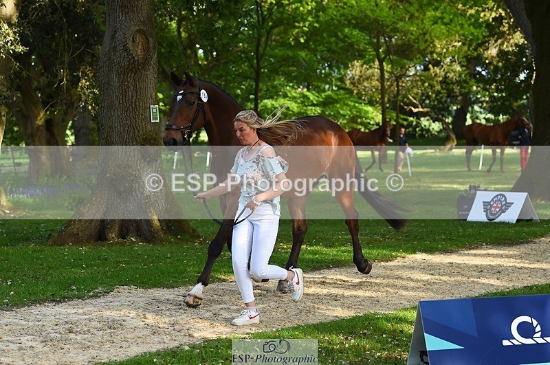 230524-170734-01297 - 154-GELUK_G-Molly_Adams-WEDTrotUp+DR