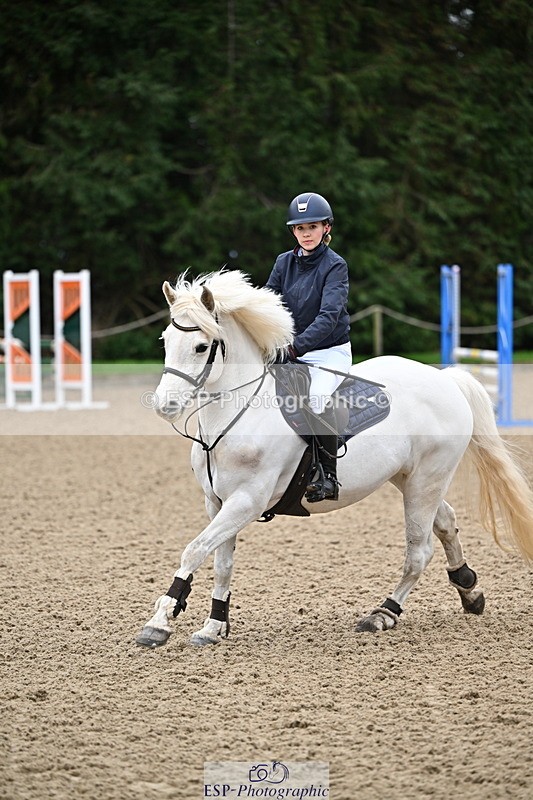 250201A-093423-00011 - Cls 01 Local Horse 90cm