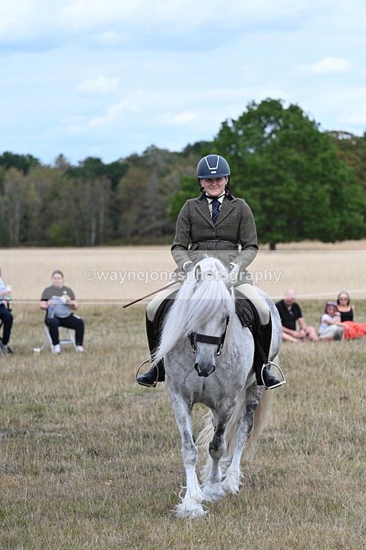 WJ7_5153 - Class 12 Ridden Cob