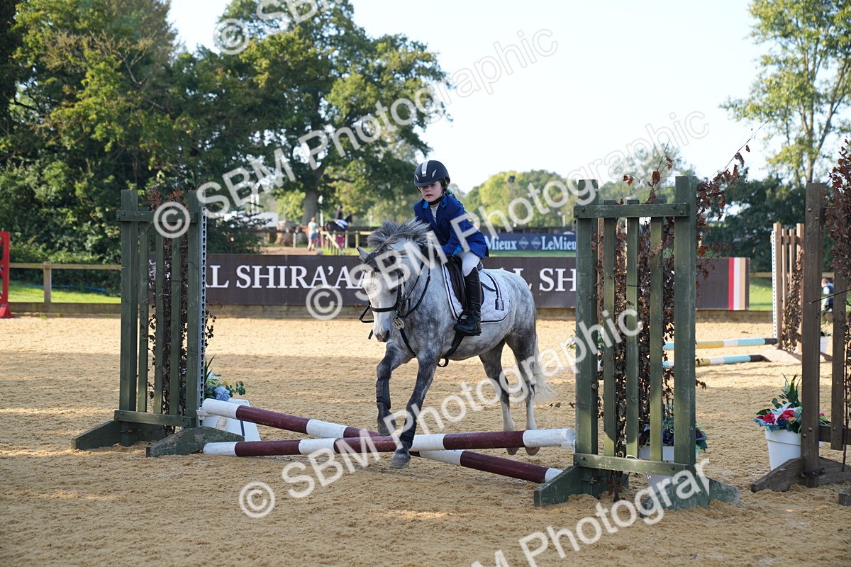 SBM_59105 - J63 - Minis Clear Round 30cm 40cm