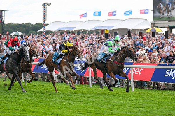 260725-Race 6-Billyb-7897 - Race 6 4.25pm Sky Bet Go-Racing-In-Yorkshire Summer Festival Handicap