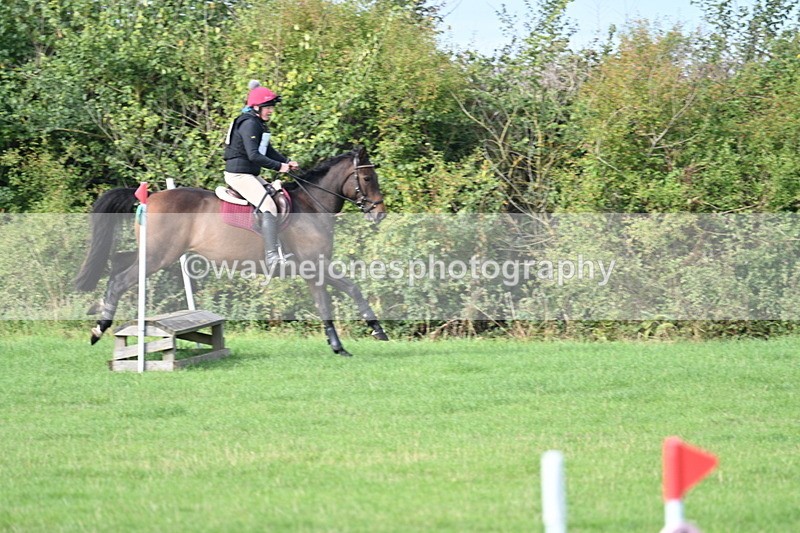 WJ7_8300 - 60cm Pairs