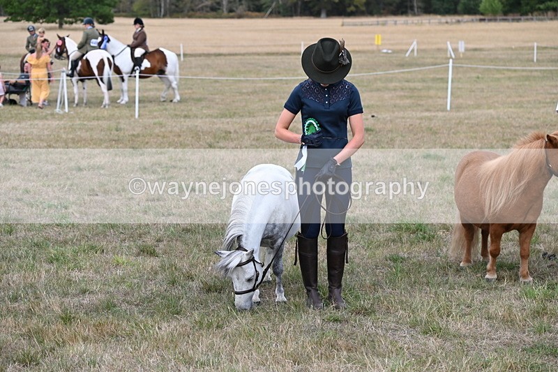 WJ6_7152 - Class 21 Shetland & Mini Horses