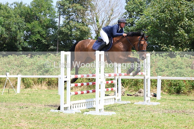3E7A3388 - Class 10: Senior Foxhunter/1.20 open