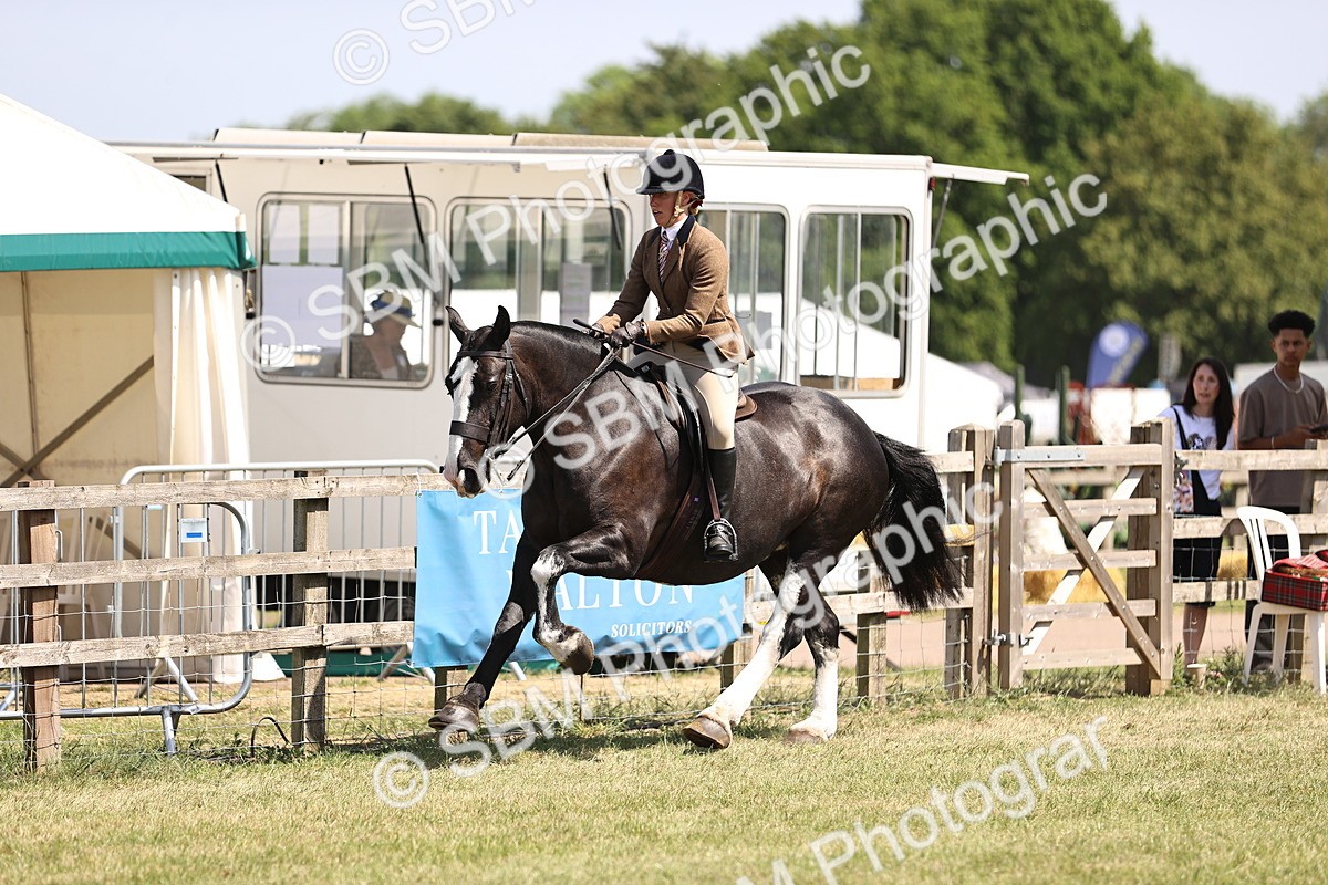 SBM_17871 - Class 81-83 - TSR Ridden Amateur of the Year - Horses