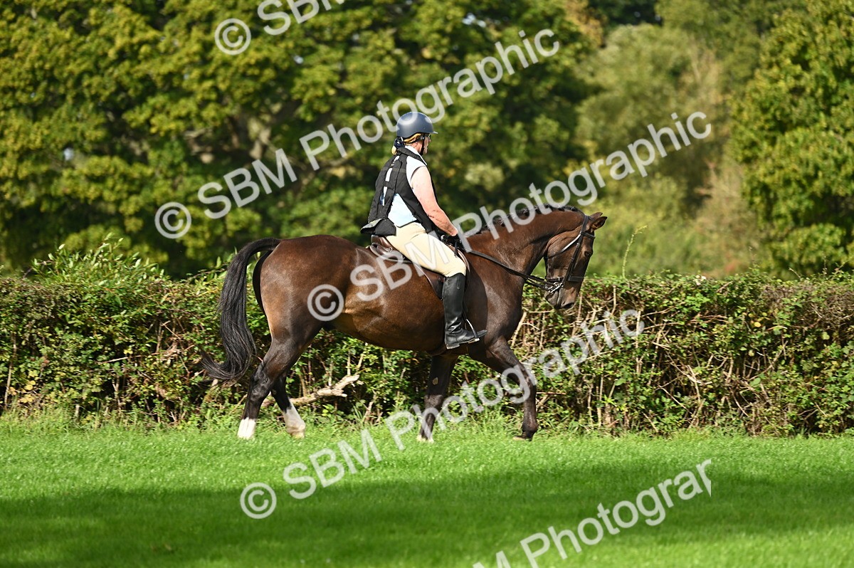 SBM_02017 - S2 - TSR Ridden Horse Showing