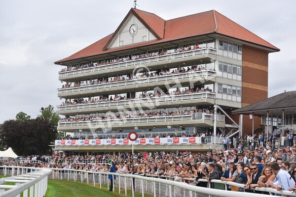 yr23072022r5-60 - Race 5 4.25pm Sky Bet UK's No1 Betting App Stakes