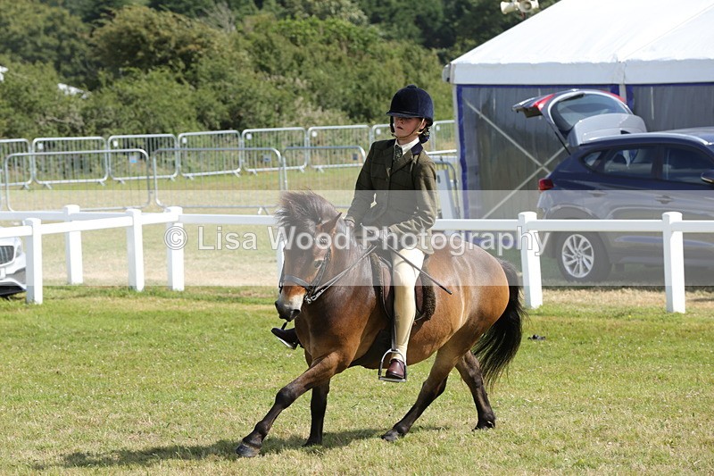 1X9A5610 - Class 39: NPS Dartmoor, Exmoor, Shetland