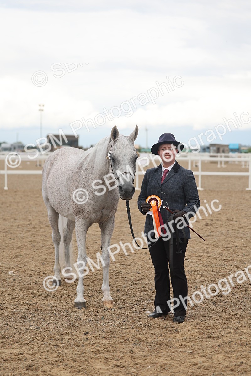 SBM_07946 - Class 28 - IH Veteran Horse