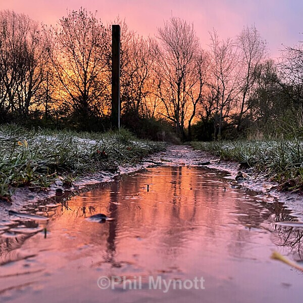PhotoMynottART117 - Photo Mynott ART Images